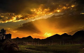 浮云游子意，落日故人情 古詩詞中的思鄉與友情